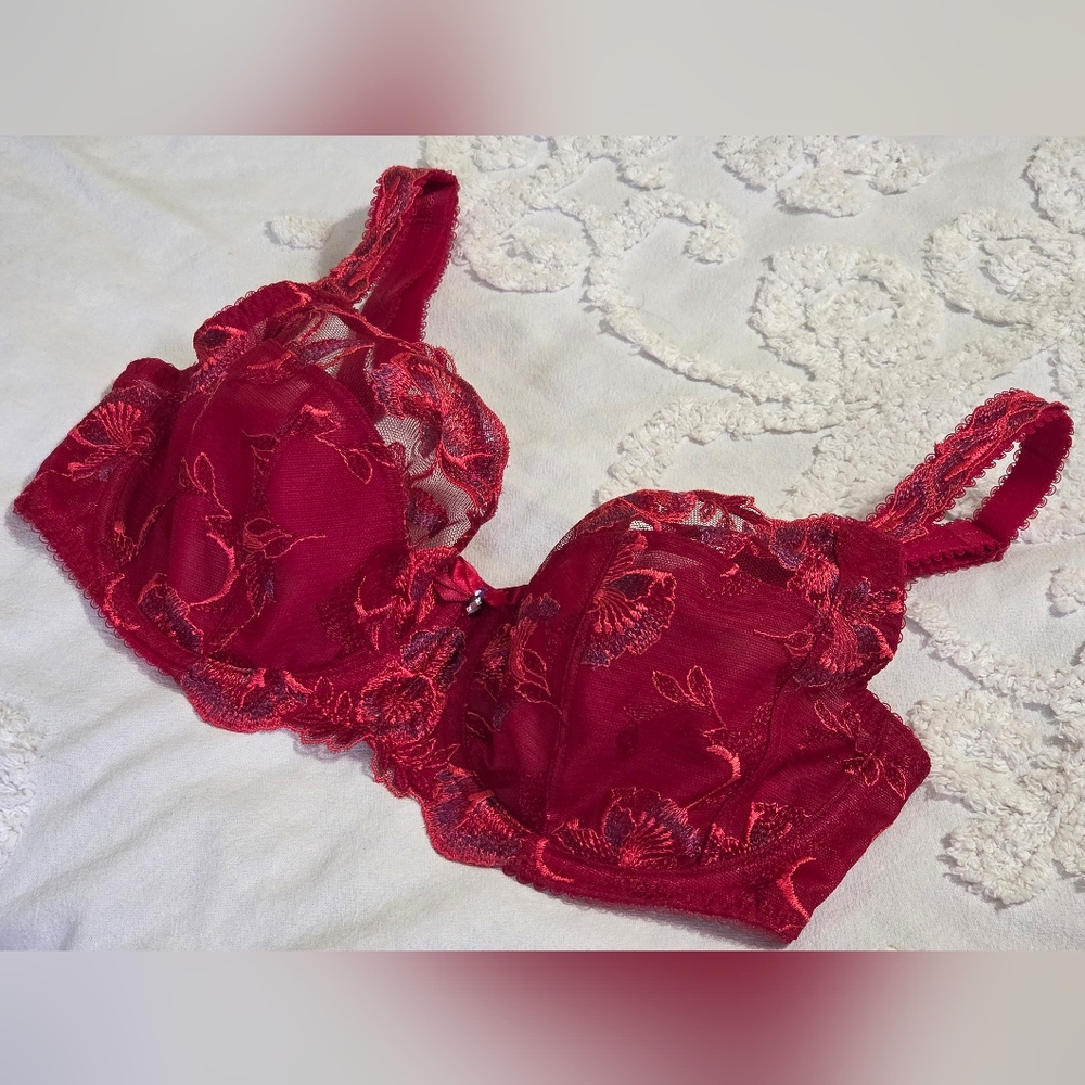 ✨ Fantasie Angelina Side Support Bra in Rogue Red Floral Lace 32DDD ✨